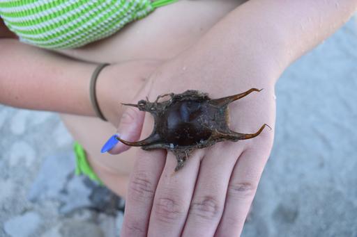 July 9: Cinque Terre