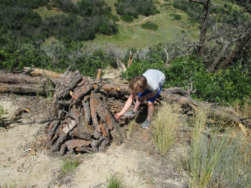 Survival Skills 5th-7th