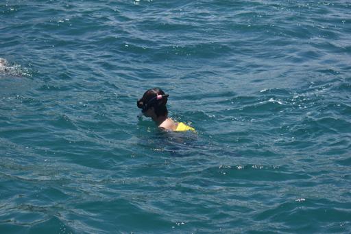 Day Five: Snorkeling!