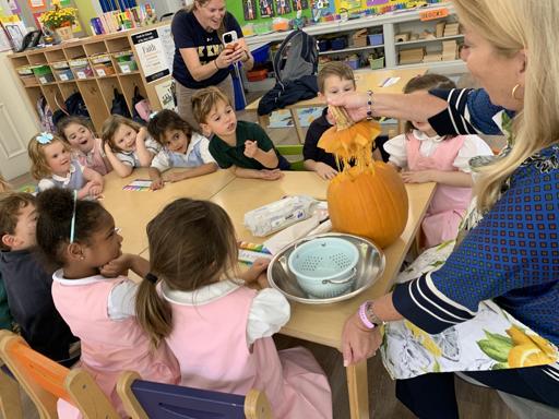 Pumpkin Dissection (10.23.24)