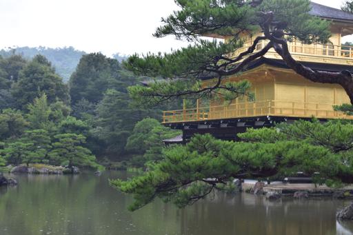 JDS1B-Day 12–Kyoto 9 July