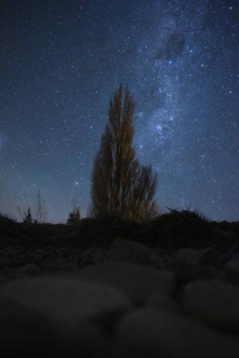 Day 2 - 17 July Lake Tekapo