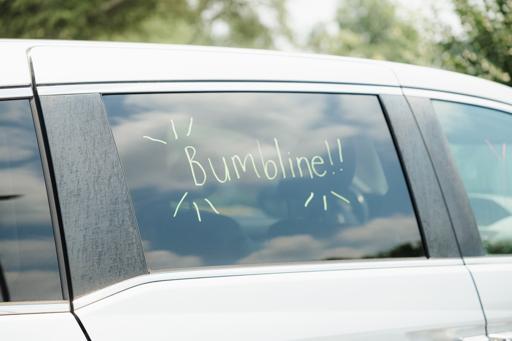 Raving Fan Parking Lot