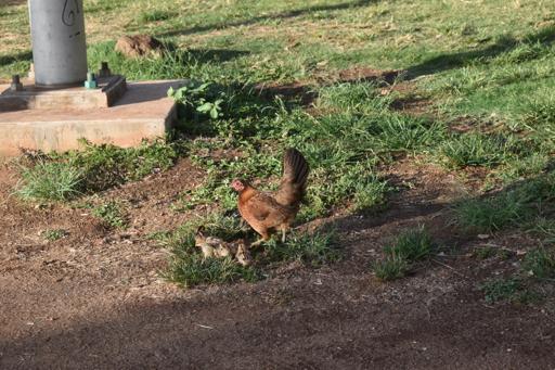 Day 4 - Service and Discovery Center