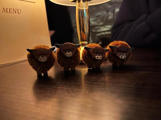 Day 11: Cliffs of Moher