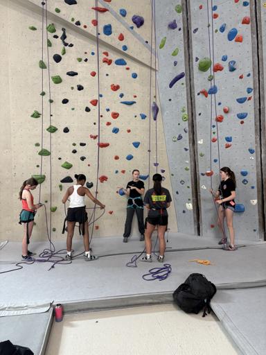 US Interim - Up in the Air 2025