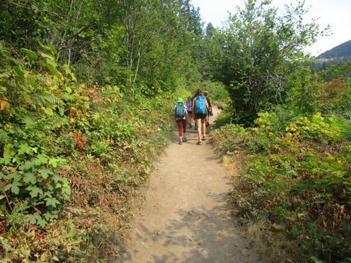 08/01/2021 - 08/06/2021