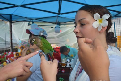 Day 7 - 8/4 - Chiang Mai