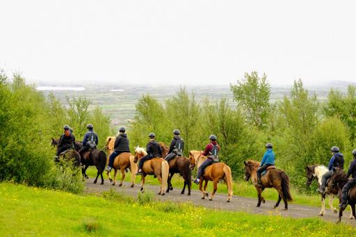 Day 6: Eastern Fjords