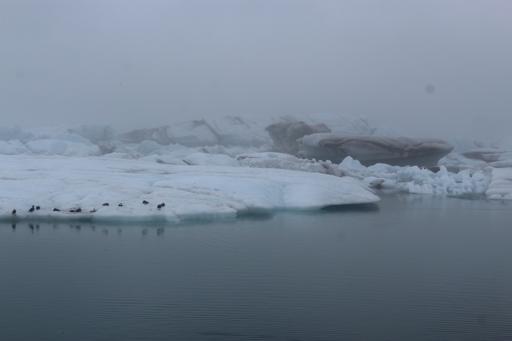 Day 5: Fjadrargljufar