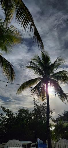 Day 3: 7/1 Key Largo