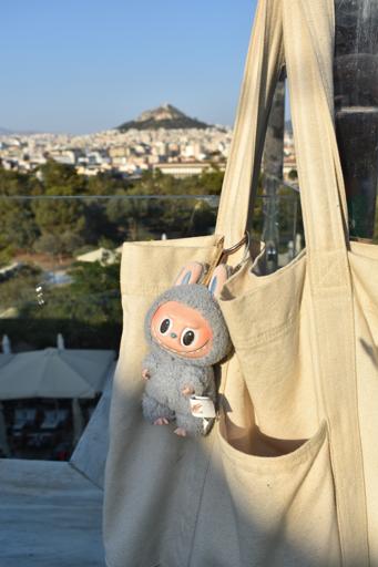 Greece: Sea Turtle Service (July 14-26)