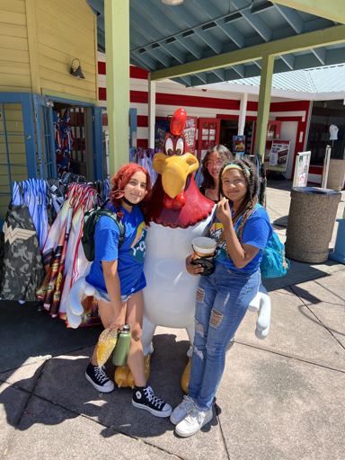 Sharks- Traditional 7th and 8th Grade