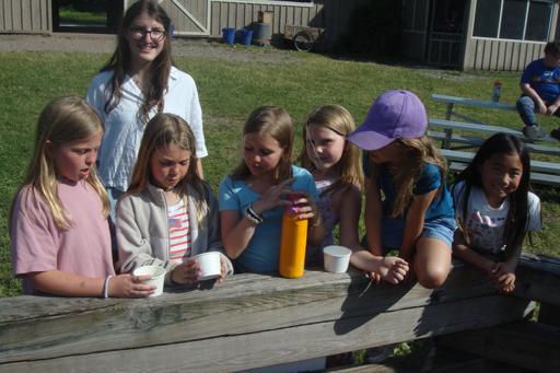 Farm Camp