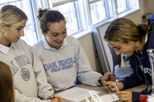 AP Biology Strawberry DNA Extraction Lab