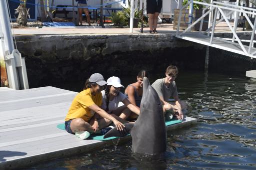 Florida Keys Marine Conservation (June 29-July 9)