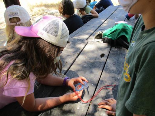 Survival Skills 5th-7th