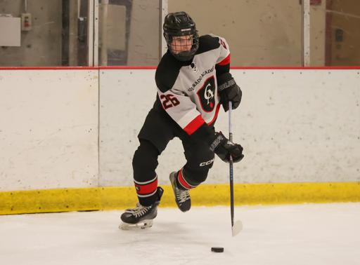 V Ice Hockey vs. Liberty State Quarterfinals 2026
