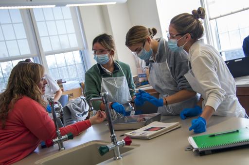 Cow Eye Dissection ( Honors Marine Science and Anatomy & Physiology)