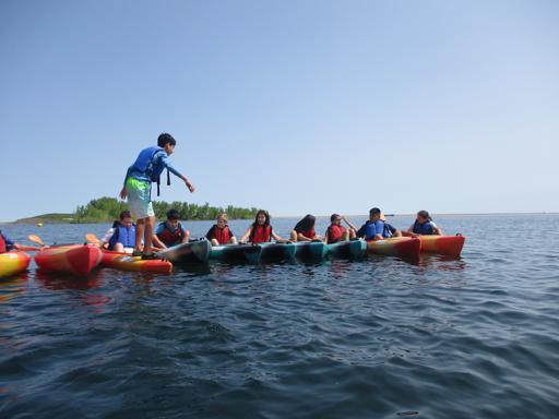 06/05/2023 - 06/16/2023