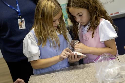 Examining Sea Shells (10.9.24)