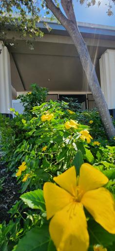 Day 7: 08/07 Keywest