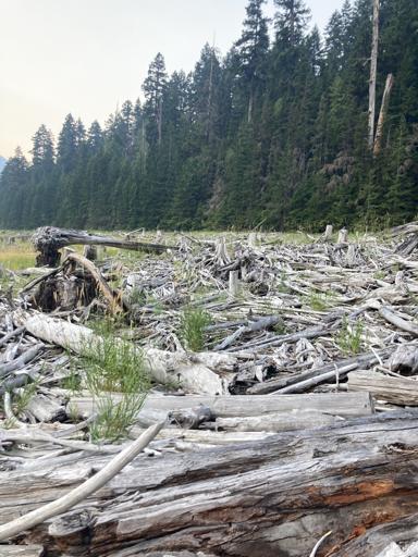 Lincoln Highschool (8/5-8/9)