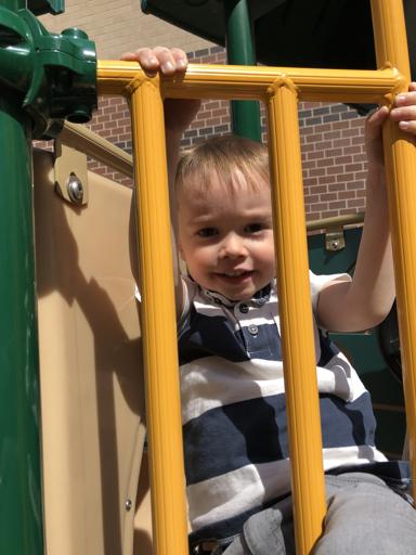 Toddler Highlights