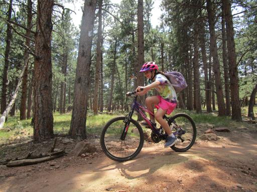 07/19/2021 - 07/23/2021