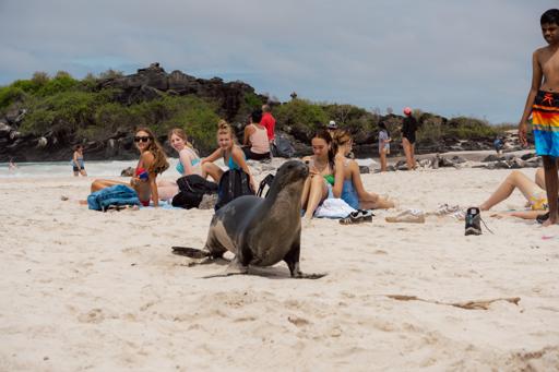 Ecuador & the Galápagos (June 29-July 9)