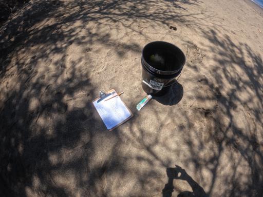 HST1 Day 5 Maui July 1