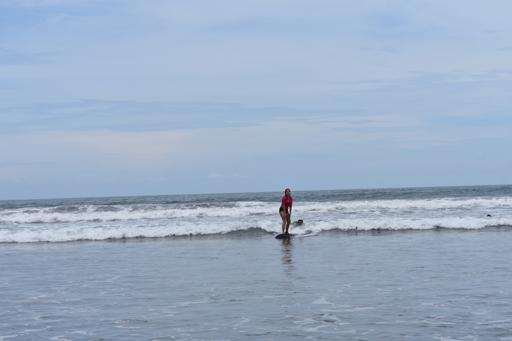 Costa Rica Wildlife Rescue & Service 3 (July 18-28)