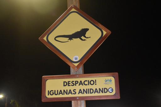 Day 8- San Cristobal 