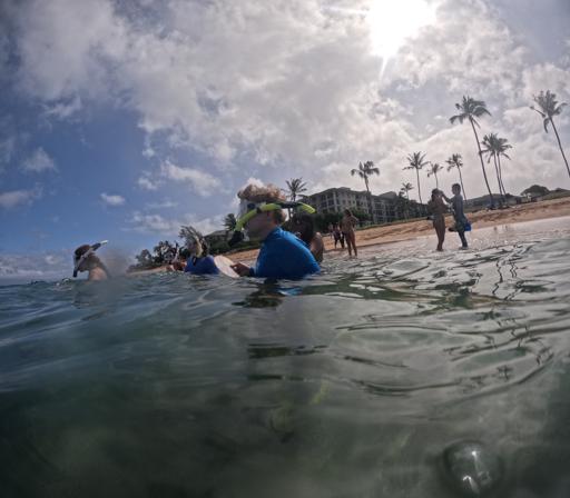 Day 12 - Maui - MOCMI Service & Ioa Valley