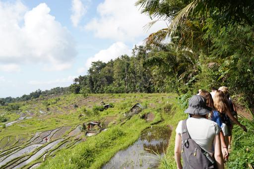 Bali Service & Adventure (June 29-July 11)