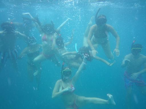 Day 2 - 14th July - Travel day to Coralview Island + Snorkelling