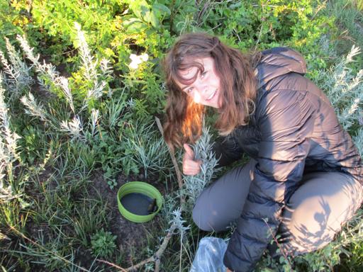 07/25/2021 - 07/30/2021