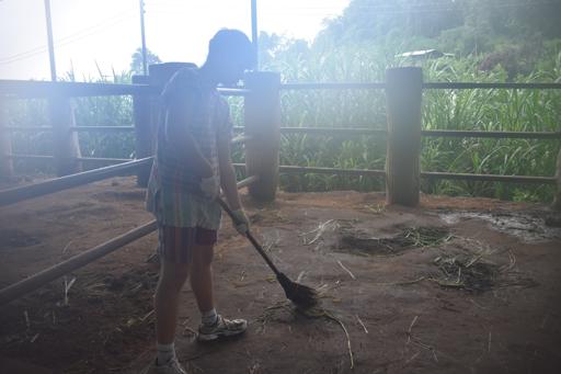 Day 3 - 7/31 - Chiang Mai