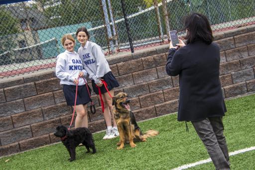 Senior Dog Parade 2022