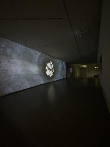 Day 3 - Berlin - 7/6/24