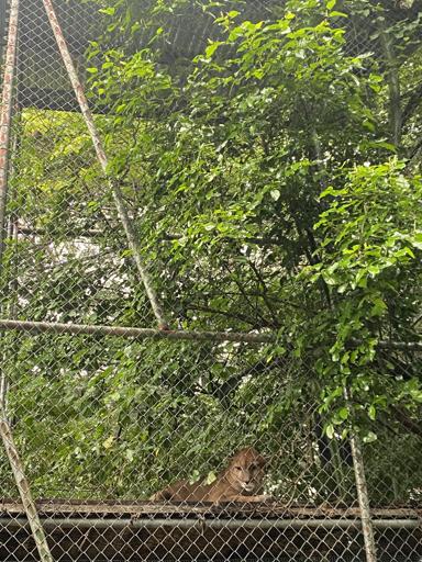 Day 5: Rincón de la viej...