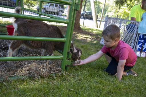 Pre-K Petting Zoo