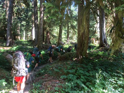 06/27/2021 - 07/02/2021