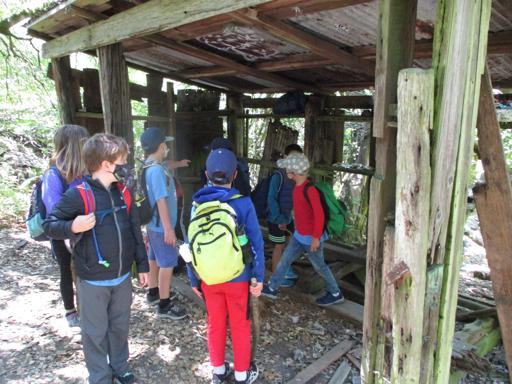 Survival Skills 2nd-4th