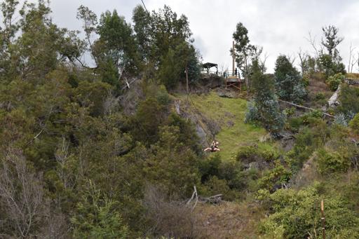 Day 9 - Service & Zipline Adventure