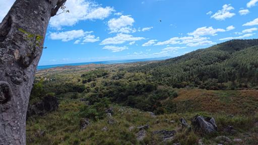 Day 28 - 07/28 - Nadi