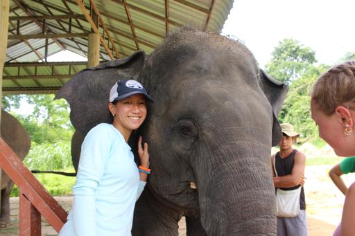 Thailand Elephant Service & the Islands (June 25-July 11)