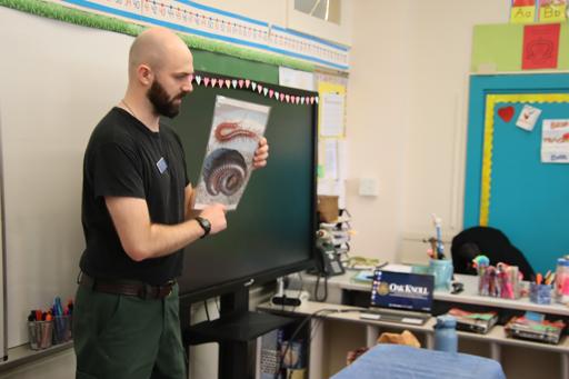 Visiting Animals - Great Swamp