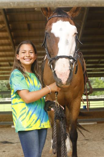 Horse Specialty Show!