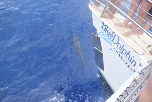 Day 7: Catamaran, Snorkeling, and Big Waves!